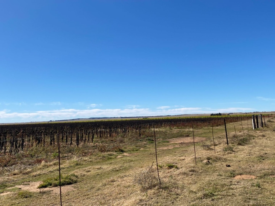 Commercial Property for Sale in Bloemfontein Rural Free State